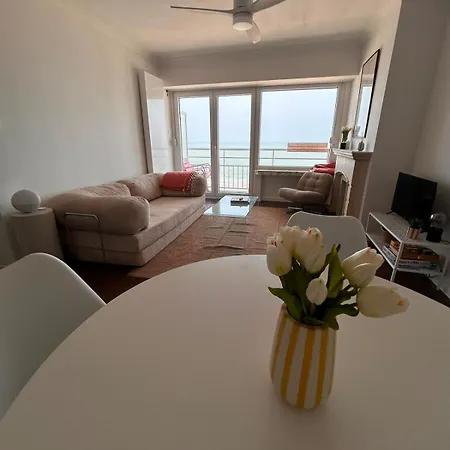 Modern On The Seawall - Terrace And Sea View Apartment Westende-Bad